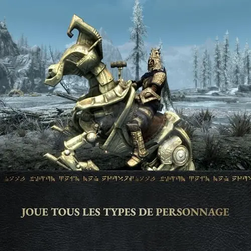 Skyrim Anniversary Edition Switch 2 - vue 4