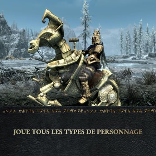 Skyrim Anniversary Edition Switch 2 - vue 4