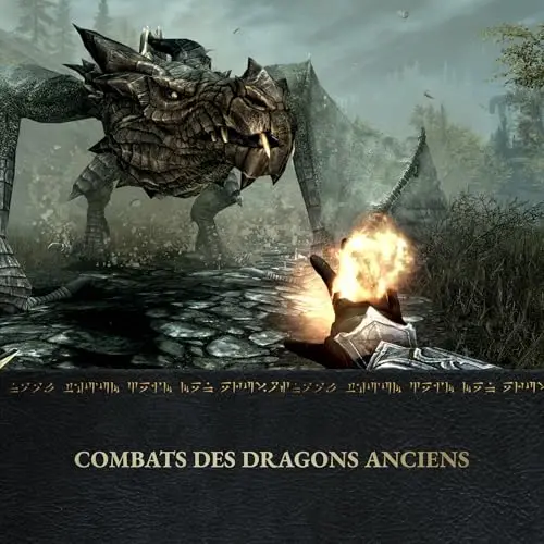 Skyrim Anniversary Edition Switch 2 - vue 5