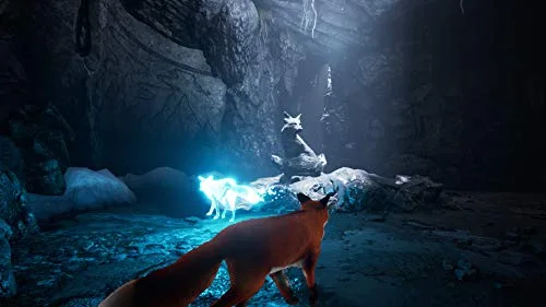 Spirit of the North Switch - vue 3