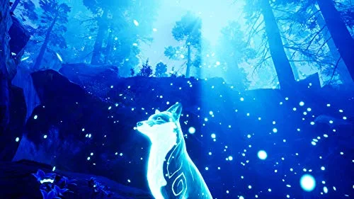 Spirit of the North Switch - vue 4