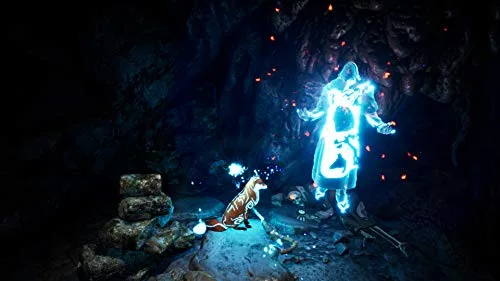 Spirit of the North Switch - vue 5