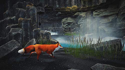 Spirit of the North PS5 - vue 2