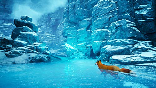 Spirit of the North PS5 - vue 3