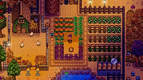Stardew Valley Edition standard Switch - vue 3