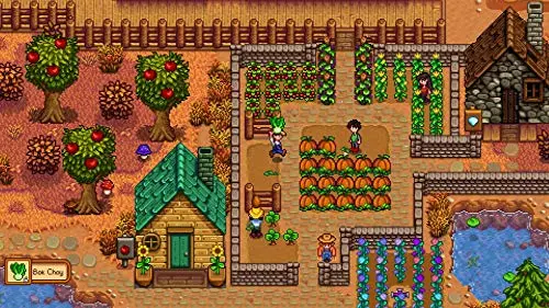 Stardew Valley Edition standard Switch - vue 5