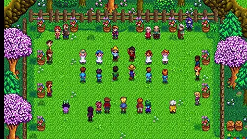Stardew Valley Edition standard Switch - vue 6