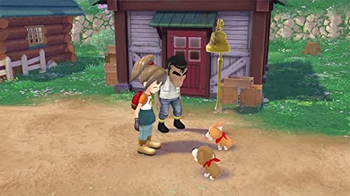 Story of Seasons A Wonderful Life Switch - vue 3
