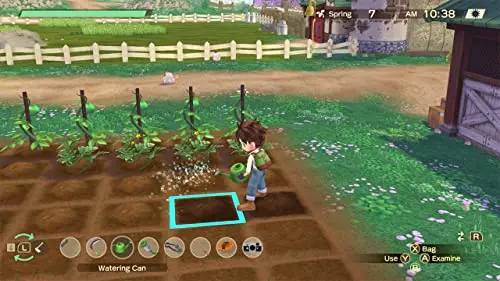 Story of Seasons A Wonderful Life Switch - vue 4