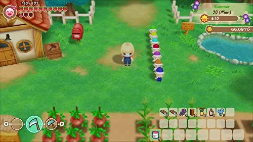 Story of Seasons: Friends of Mineral Town Switch - vue 4