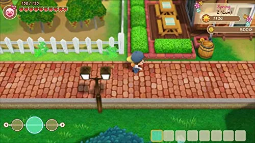 Story of Seasons: Friends of Mineral Town Switch - vue 6