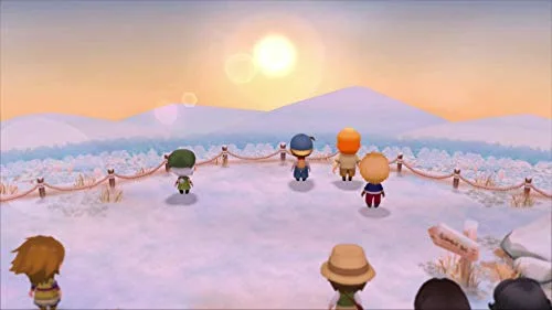 Story of Seasons: Friends of Mineral Town Switch - vue 7
