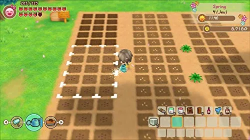 Story of Seasons: Friends of Mineral Town Switch - vue 9