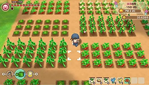 Story of Seasons: Friends of Mineral Town PS4 - vue 3