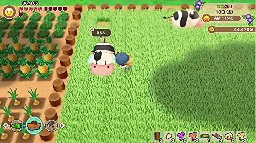 STORY OF SEASONS: Friends of Mineral Town Xbox One - vue 2