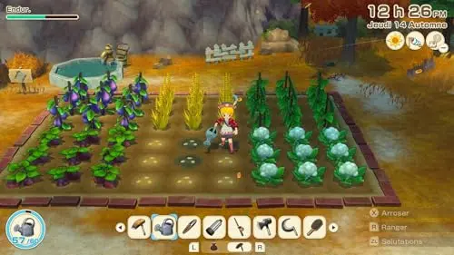 Story of Seasons Grand Bazaar Switch 2 - vue 6