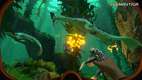 Subnautica PS4 - vue 4