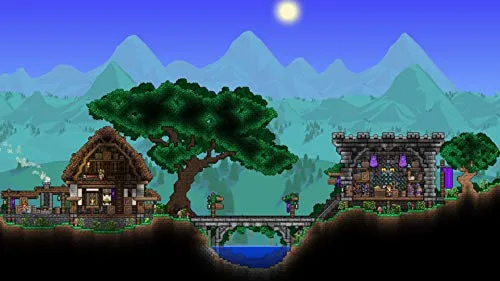 Terraria Standard Switch - vue 5