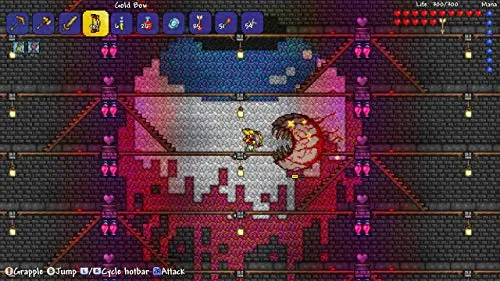Terraria Standard Switch - vue 6