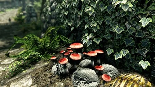 The Elder Scrolls V: Skyrim Special Edition PS4 - vue 2
