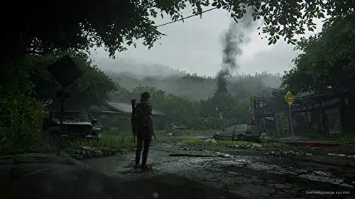 The Last of Us Part II Jeu PS4 - Compatible PS5 - vue 4