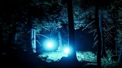 They Are Here Alien Abduction Horror PS5 - vue 5