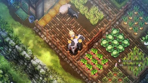 Village in the Shade Deluxe Edition PS5 - vue 4