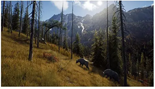 Way of the Hunter Jeu Xbox Series X - vue 2