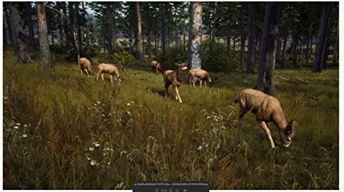 Way of the Hunter Jeu Xbox Series X - vue 3