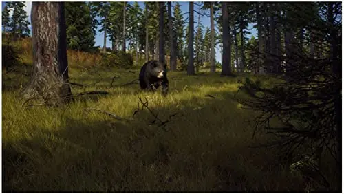 Way of the Hunter Jeu Xbox Series X - vue 4