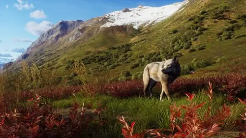 Way of the Hunter: Wild Expeditions Xbox - vue 5