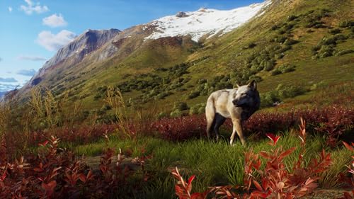 Way of the Hunter: Wild Expeditions Xbox - vue 5