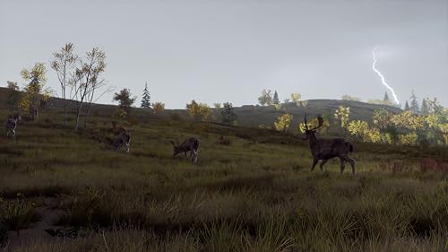 Way of the Hunter: Wild Expeditions Xbox - vue 8