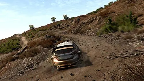 WRC 8 FIA World Rally Championship PS4 - vue 3