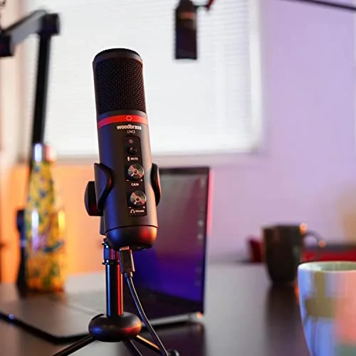 Microphone Woodbrass UM3 USB-C - vue 6