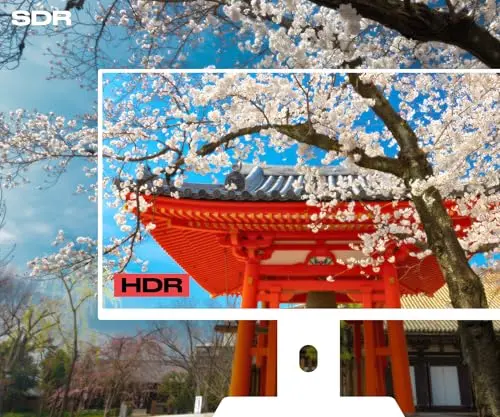 JAPANNEXT JN-IPS2707UHDR 27" 4K IPS 60 Hz - vue 6