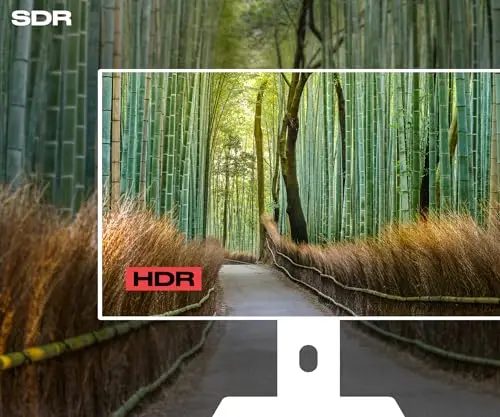 JAPANNEXT JN-27IPS4FLWQHDR-HSP 27" IPS WQHD - vue 7
