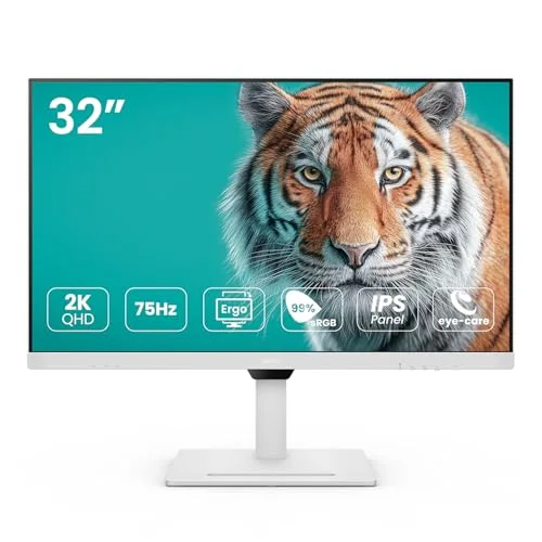 BenQ GW3290QT 31,5" QHD IPS USB-C