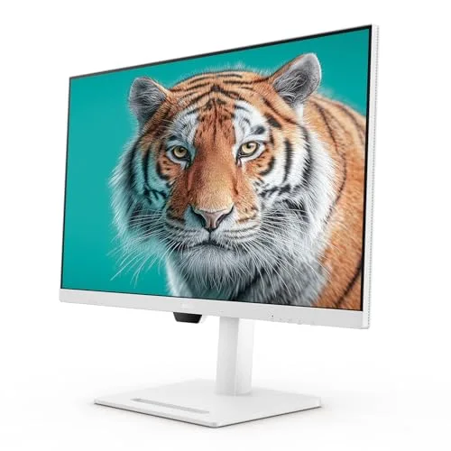 BenQ GW3290QT 31,5" QHD IPS USB-C - vue 2