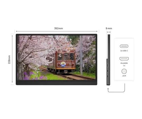 Ecran PC Portable - JAPANNEXT - 15.6 - IPS - Full HD (1920x1080) - JN-MD-i156F-LE - vue 3