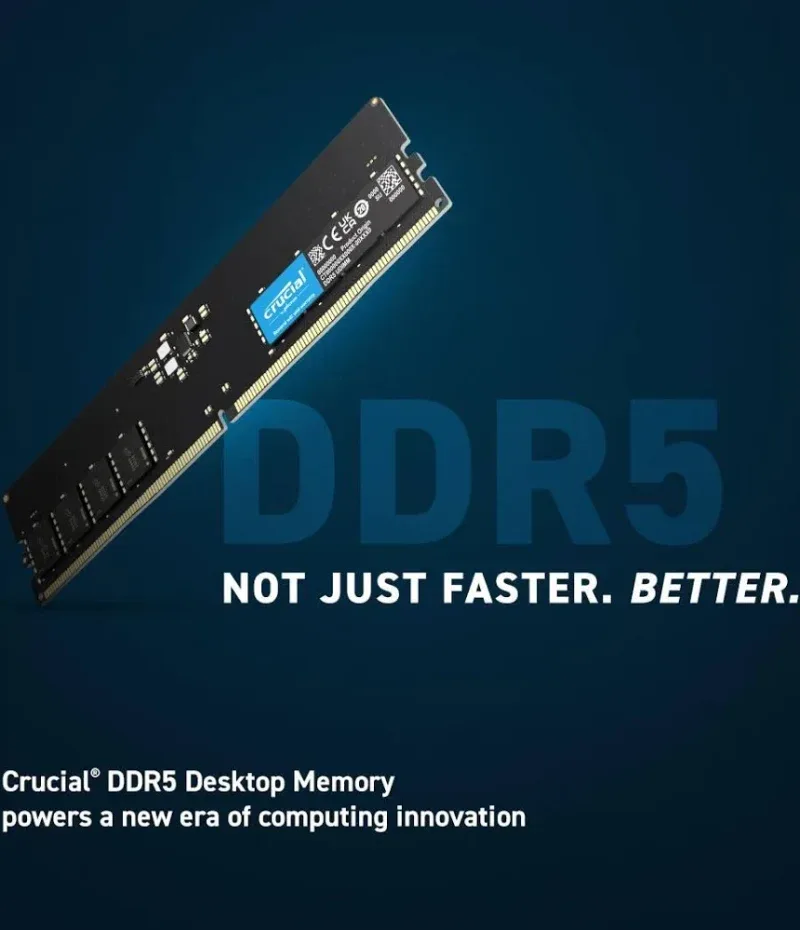 Crucial 64 Go Kit 2x32Go DDR5 4800 MHz - vue 2
