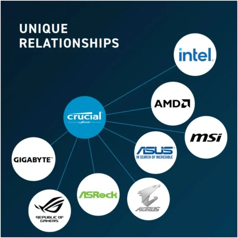 Crucial 64 Go Kit 2x32Go DDR5 5600 MHz - vue 5