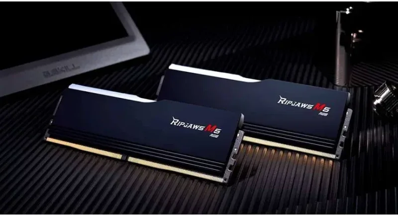G.Skill 48 Go DDR5 5600 MHz - vue 5