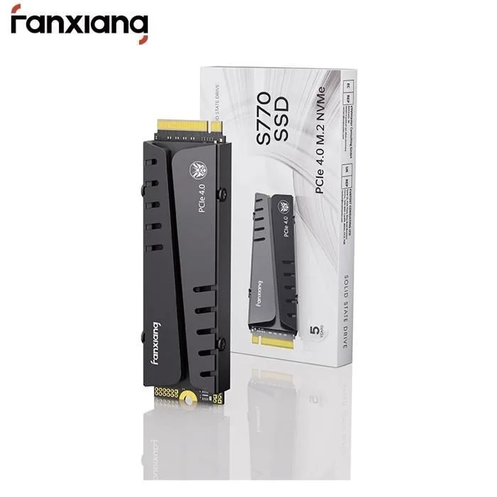 Fanxiang S770 500 Go NVMe PCIe 4.0 avec dissipateur