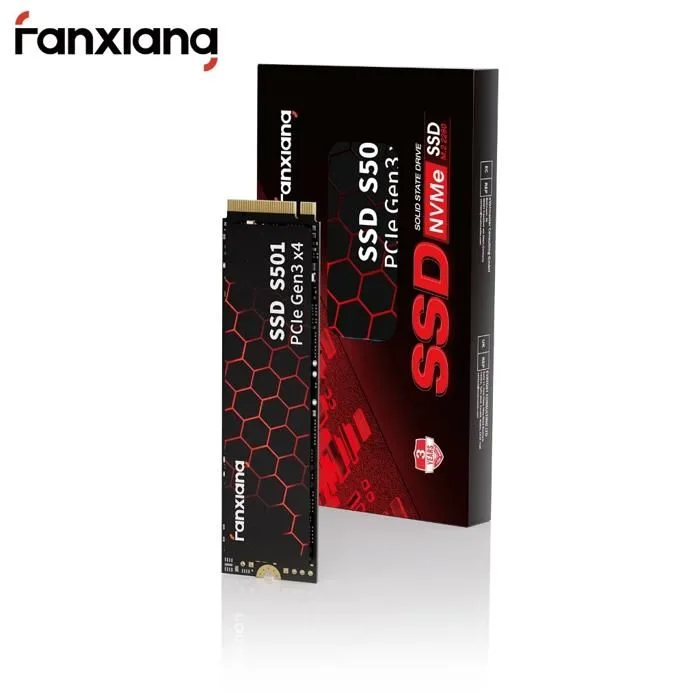 Fanxiang S501 256Go NVMe M.2 PCIe 3.0 x4