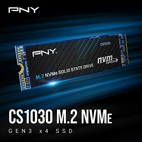 PNY CS1030 250 Go - vue 2