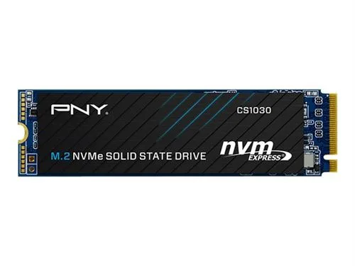 SSD PNY CS1030 250 Go