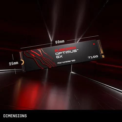SanDisk Optimus GX 7100 500 Go - vue 6