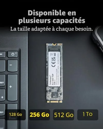 SSD Intenso Top Performance 1 TB M.2 SATA - vue 6