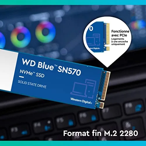 WD Blue SN570 500 Go - vue 4